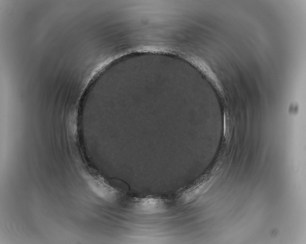 X0000090860204200708101226