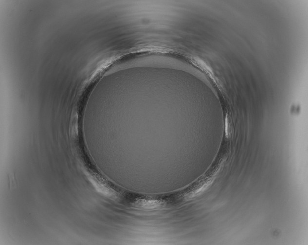 X0000090860205200708101226