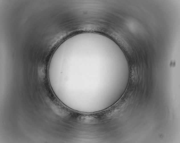 X0000090860208200708101226