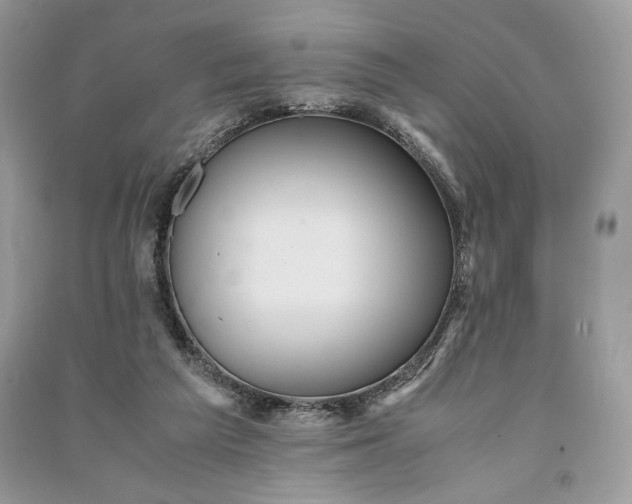 X0000090860209200708101226