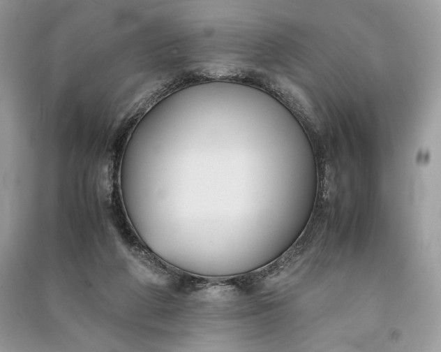 X0000090860210200708101226