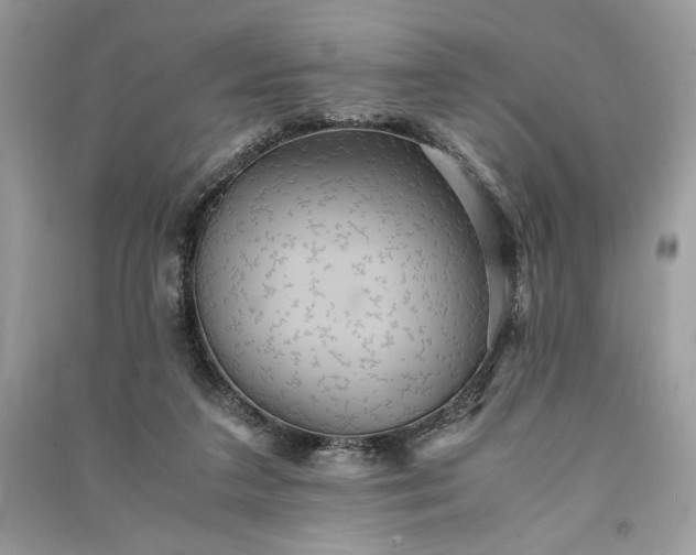 X0000090860211200708101226