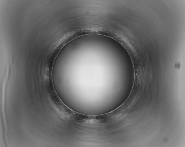 X0000090860212200708101226