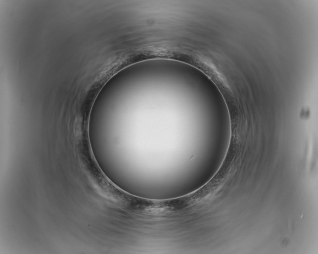 X0000090860213200708101226