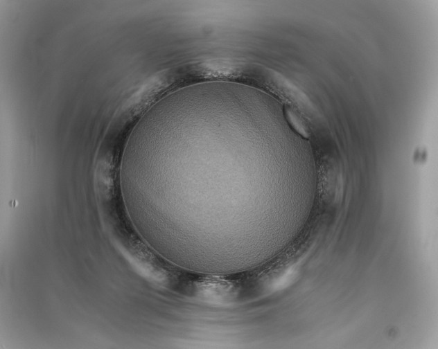 X0000090860215200708101226