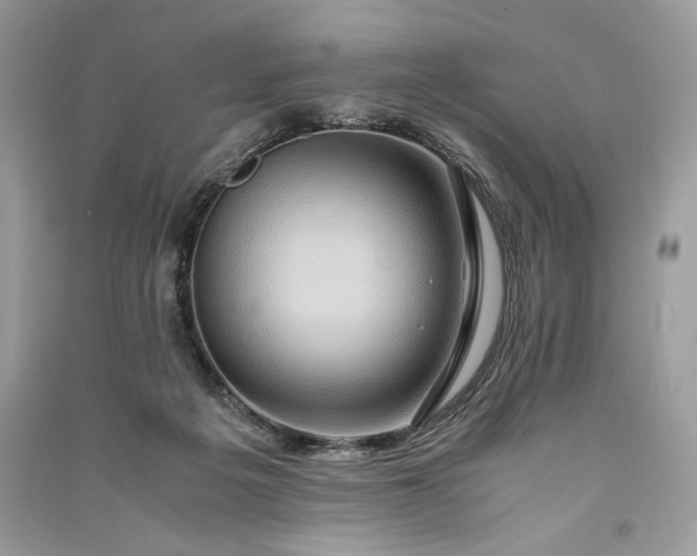 X0000090860217200708101226