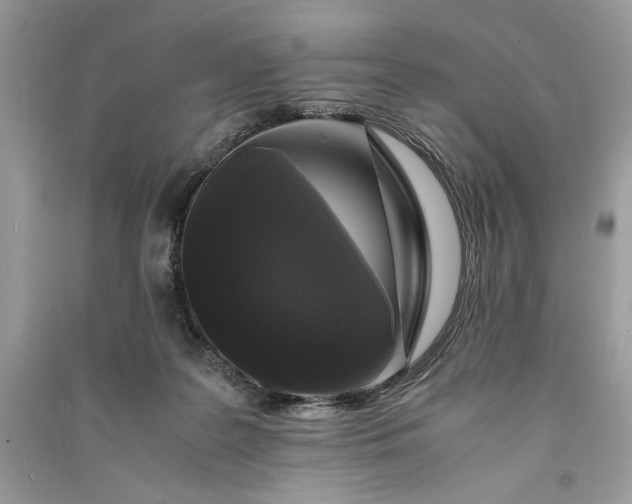 X0000090860219200708101226