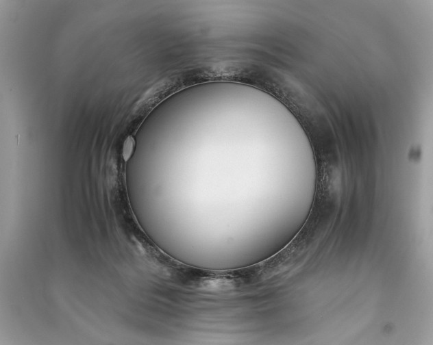 X0000090860220200708101226