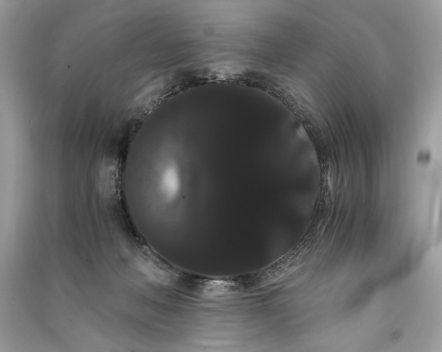 X0000090860222200708101226