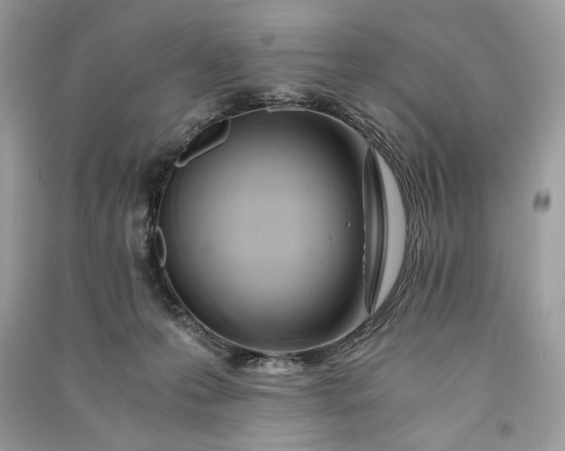 X0000090860223200708101226