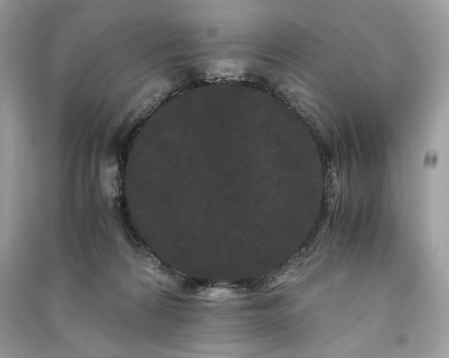 X0000090860224200708101226