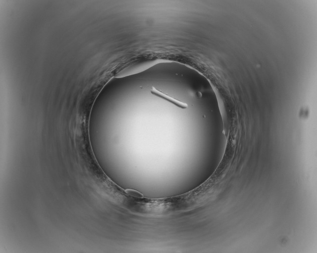 X0000090860225200708101226