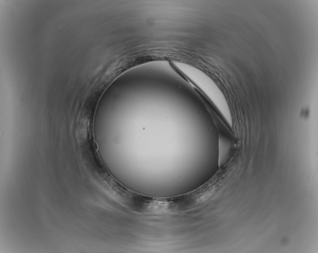 X0000090860227200708101226