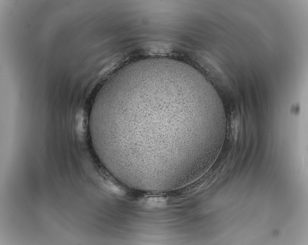 X0000090860228200708101226