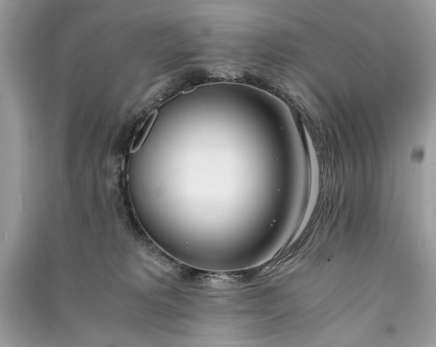 X0000090860229200708101226