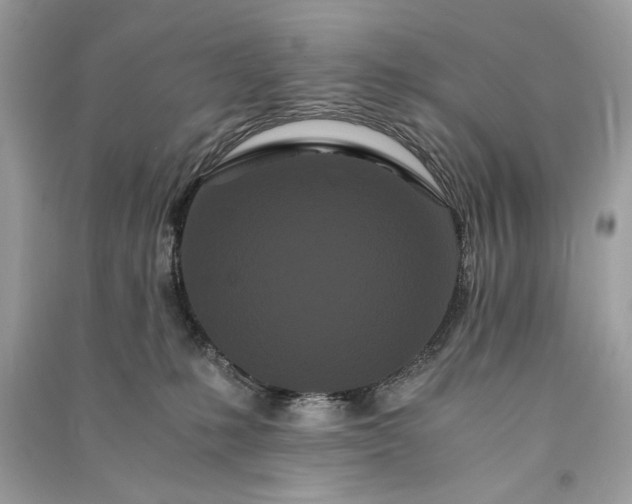 X0000090860231200708101226