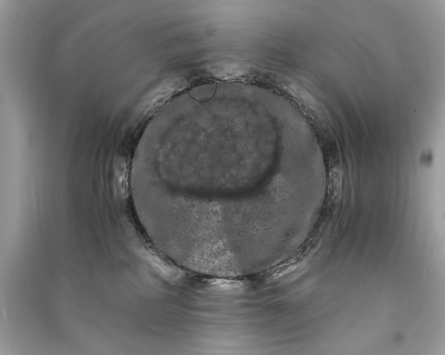 X0000090860234200708101226