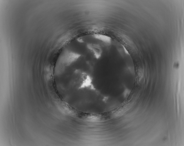 X0000090860236200708101226