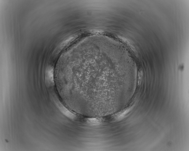 X0000090860238200708101226