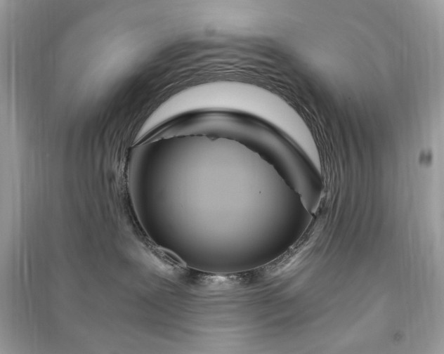 X0000090860239200708101226