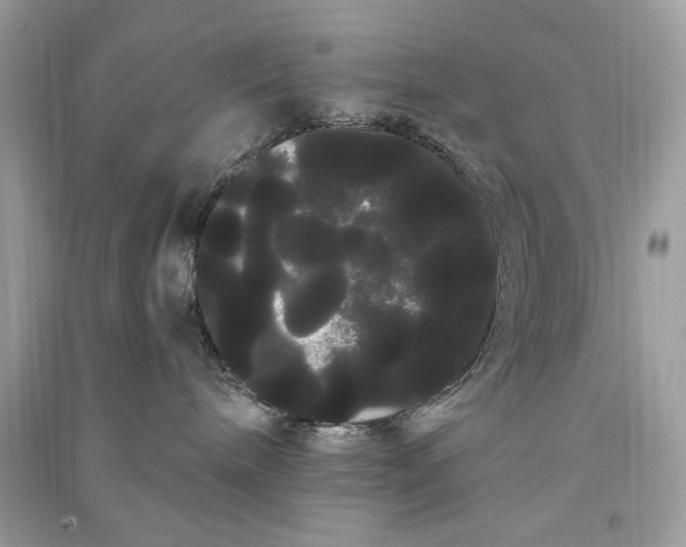 X0000090860240200708101226