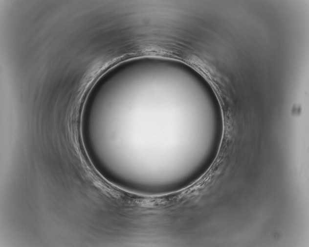 X0000090860241200708101225