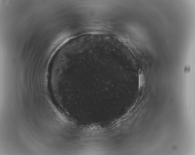 X0000090860243200708101225