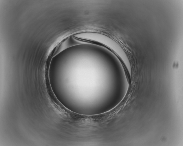 X0000090860244200708101225