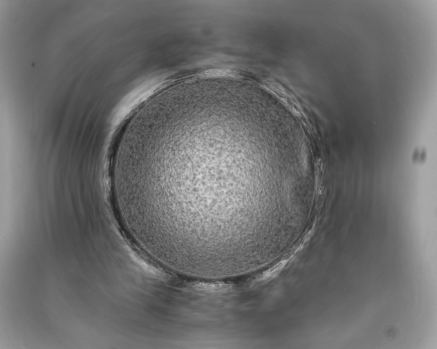 X0000090860245200708101225