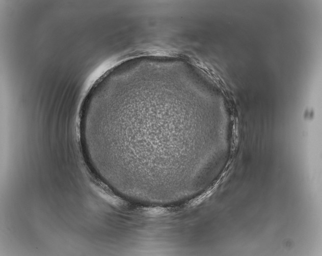 X0000090860246200708101225