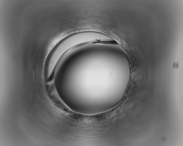 X0000090860248200708101225