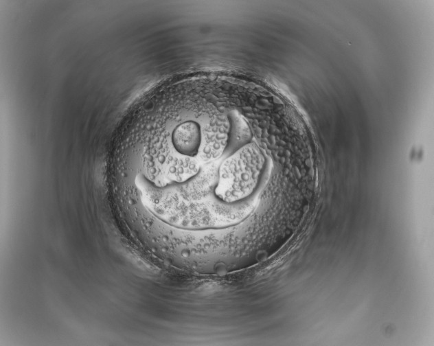 X0000090860249200708101225