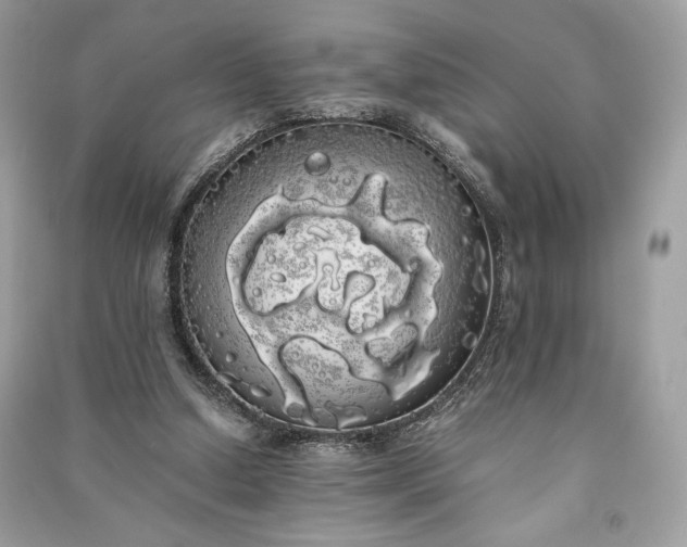 X0000090860250200708101225