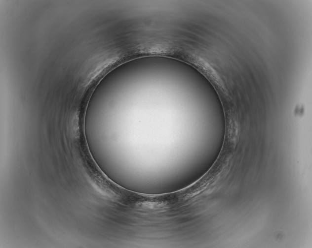 X0000090860251200708101225