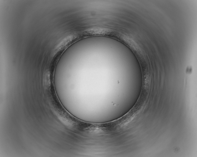 X0000090860254200708101225