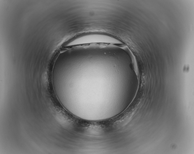 X0000090860256200708101225