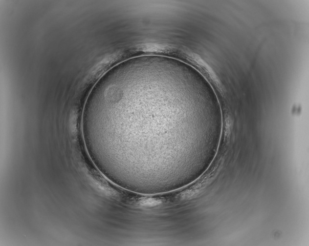 X0000090860257200708101225