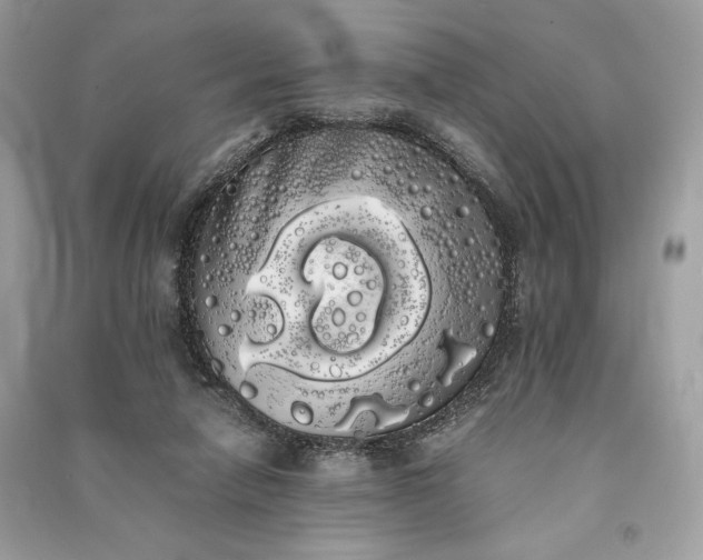 X0000090860258200708101225