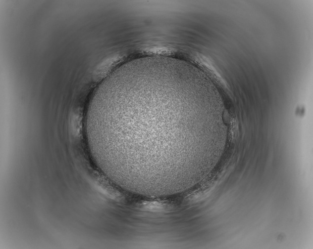 X0000090860259200708101225