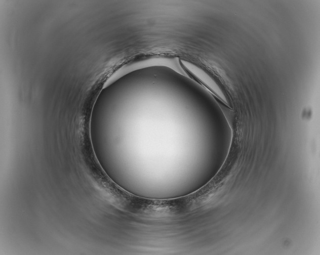 X0000090860260200708101226