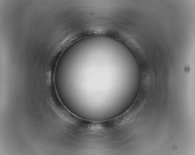 X0000090860262200708101226