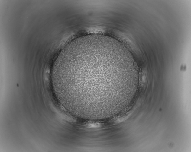 X0000090860263200708101226