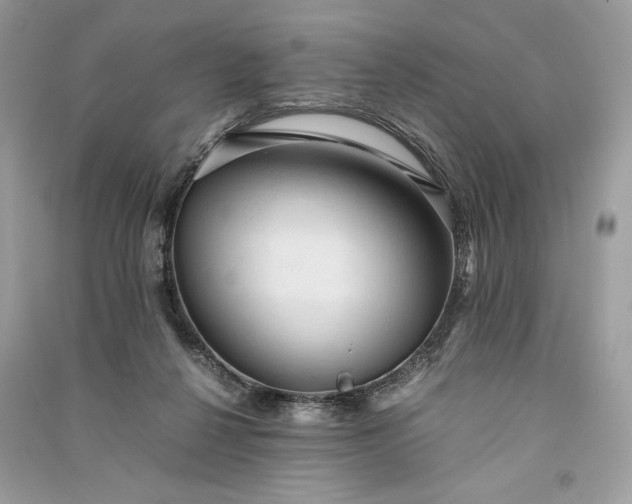 X0000090860264200708101226