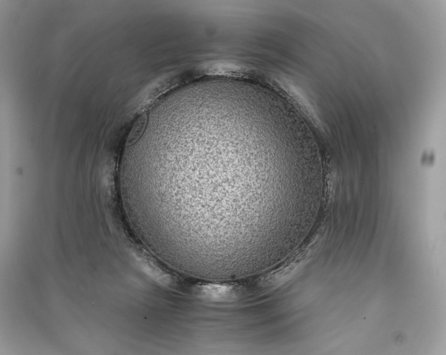 X0000090860265200708101226