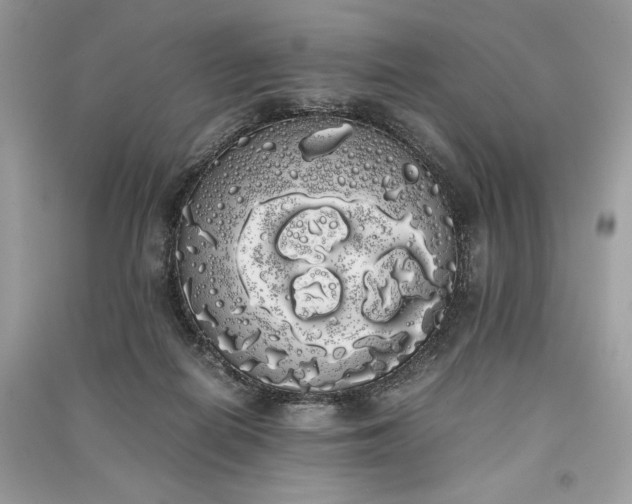 X0000090860266200708101226