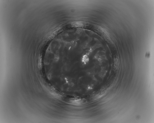 X0000090860267200708101226