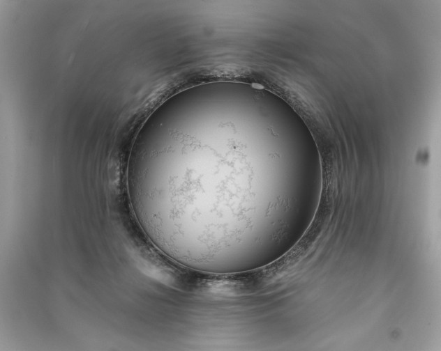 X0000090860268200708101226