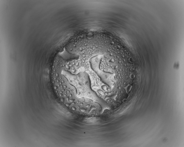 X0000090860269200708101226