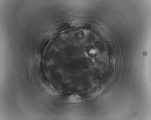 X0000090860271200708101226