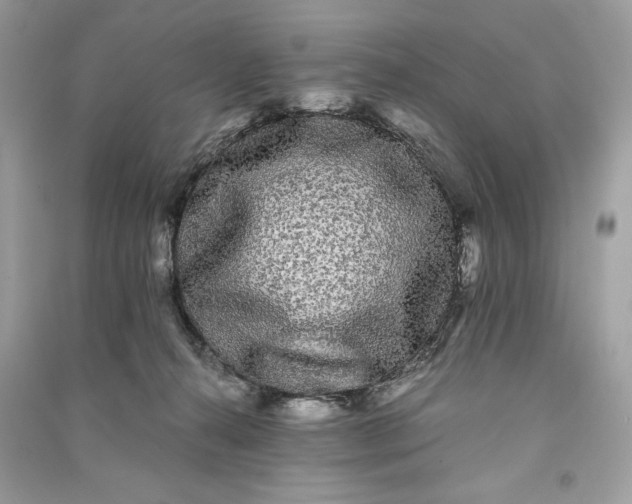 X0000090860272200708101226